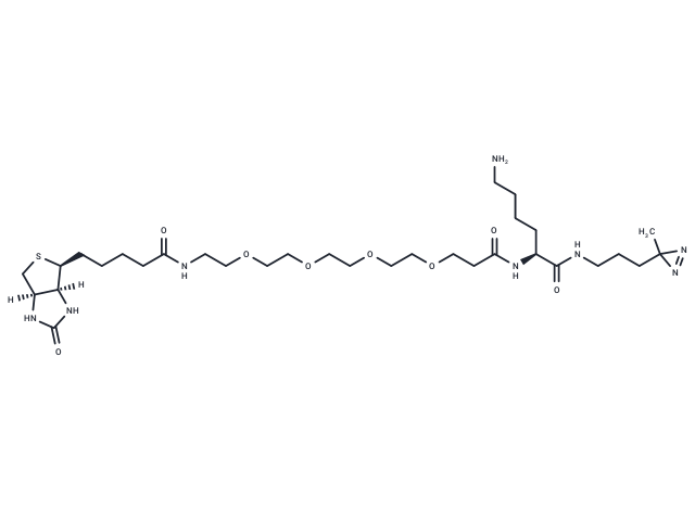 化合物 Biotin-probe 1|T18926|TargetMol