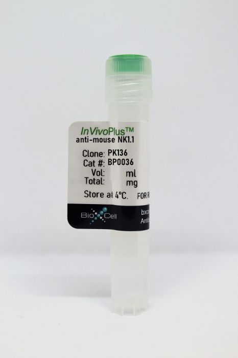 抗小鼠 NK1.1