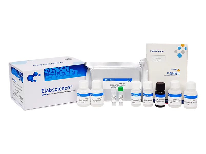 Elabscience 去甲肾上腺素(NA/NE) elisa试剂盒-E-EL-0047