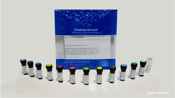 Elabscience流式抗体 Purified标记抗小鼠CD16/32抗体[2.4G2]-E-AB-F0997A