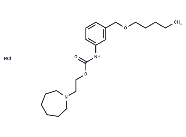 化合物 Carbanilic acid, m-((pentyloxy)methyl)-, 2-(hexahydro-1H-azepin-1-yl)ethyl ester, hydrochloride|T30719|TargetMol