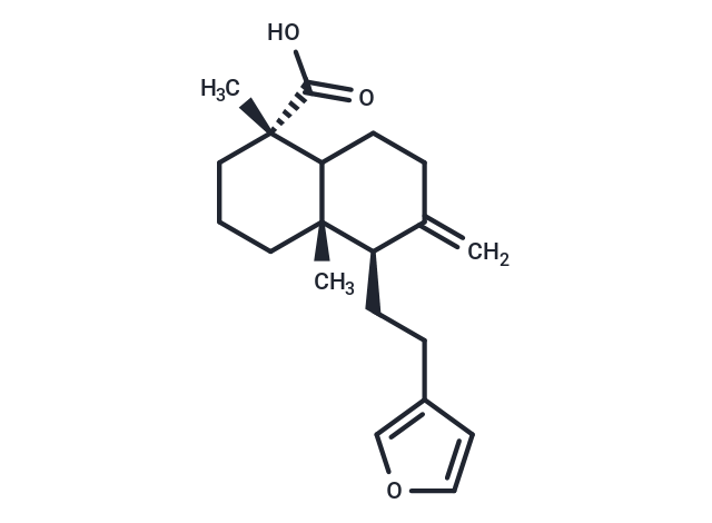 化合物 Polyalthic acid|T126512|TargetMol