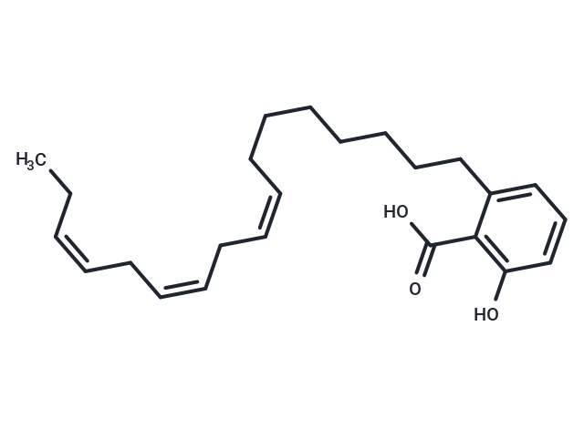 化合物 Antibiotic SB 202742|T124135|TargetMol