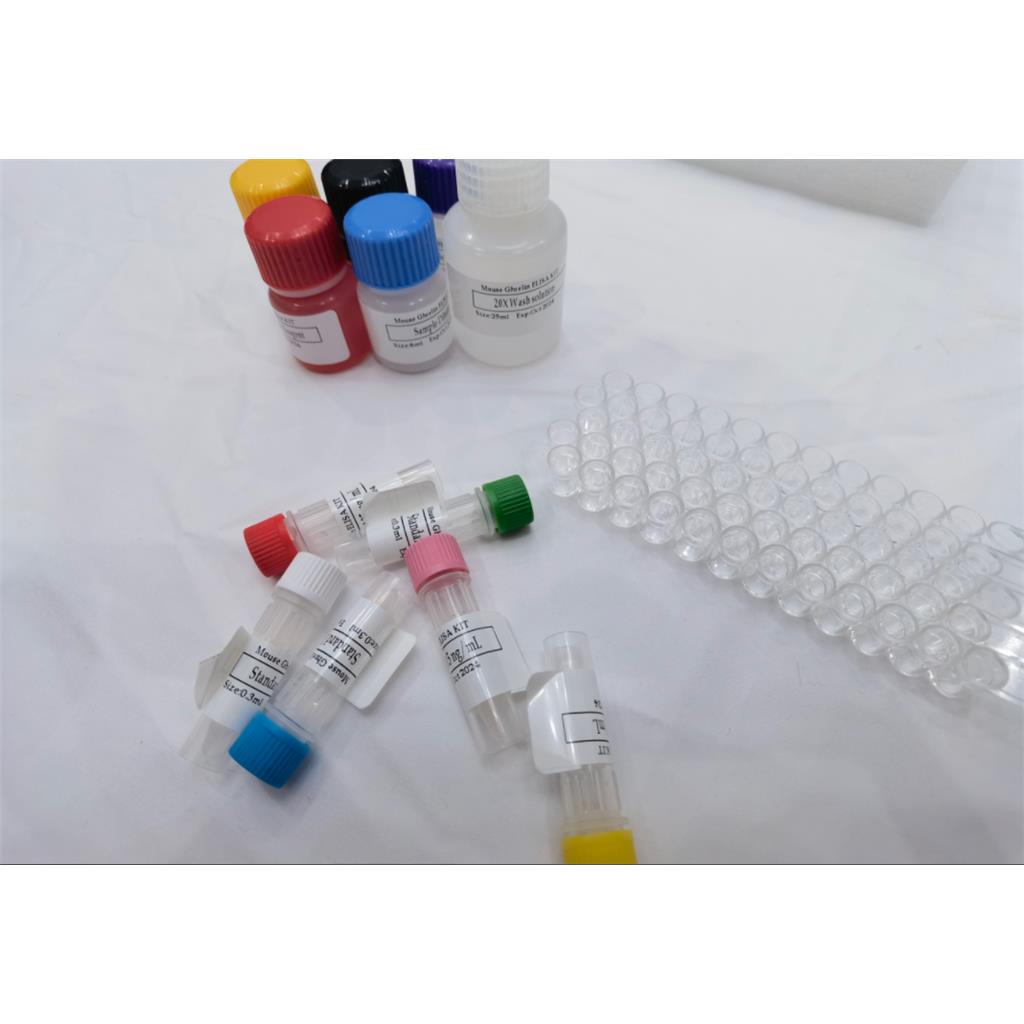 人甲状旁腺激素相关蛋白(PTHrP)ELISA检测试剂盒