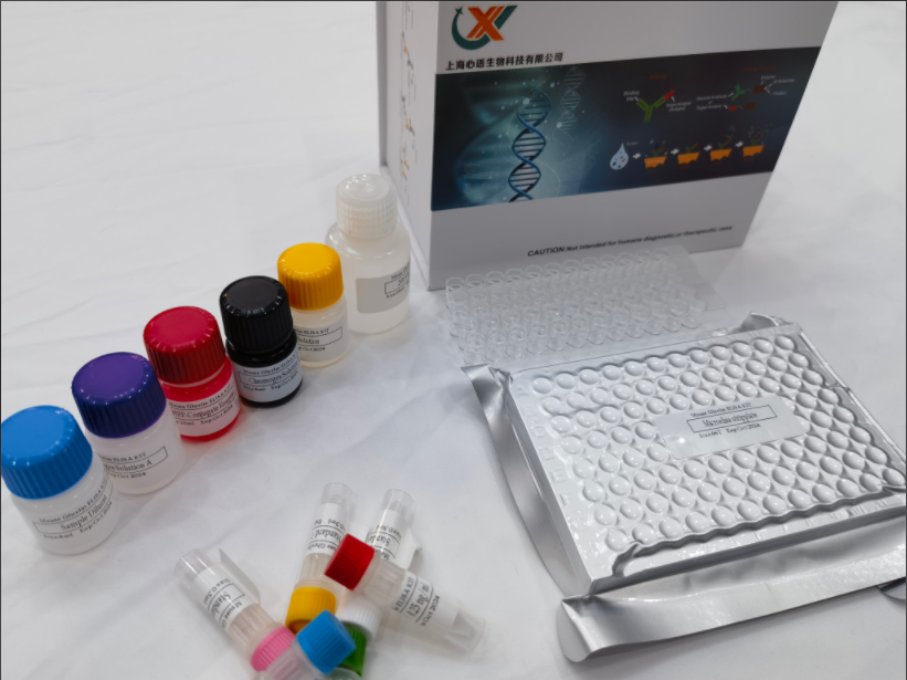 人甲型肝炎病毒抗体(HAV IgG)ELISA检测试剂盒