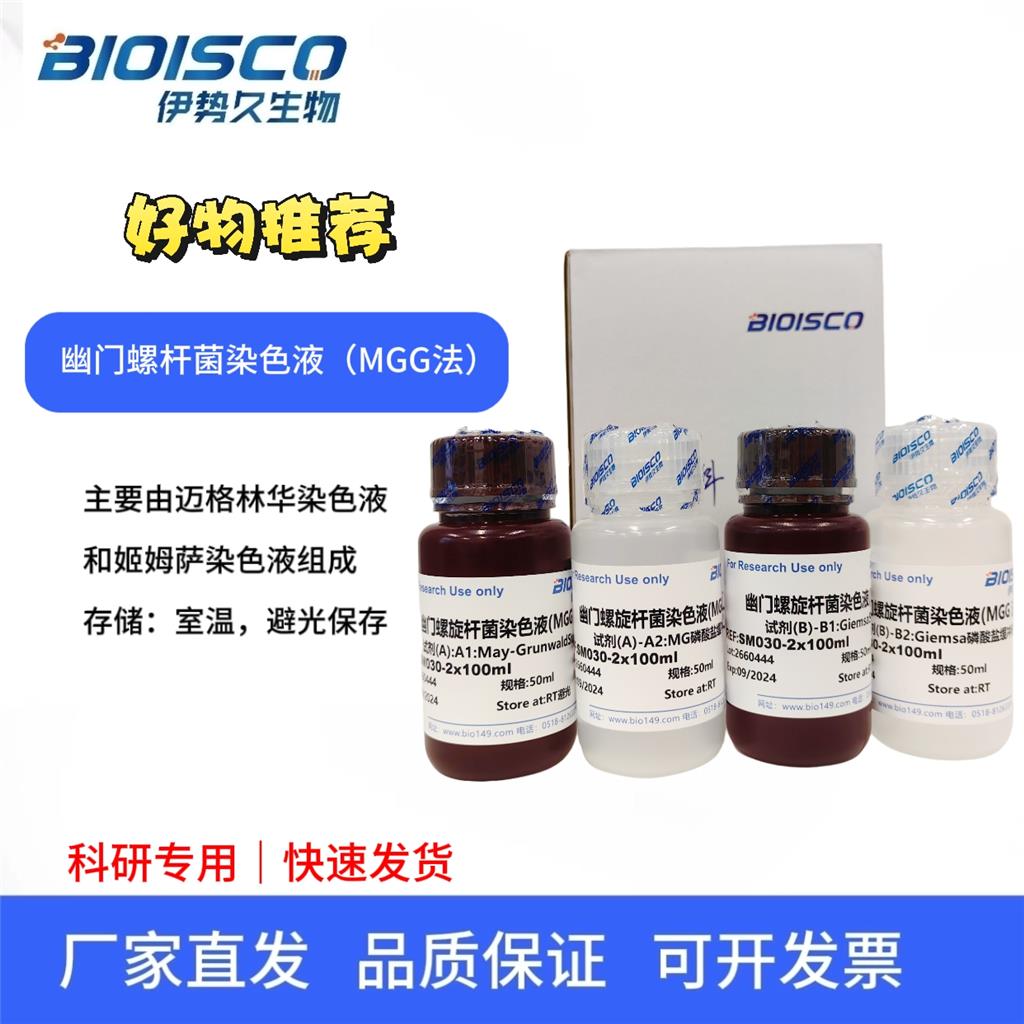 幽门螺旋杆菌染色液（MGG法）