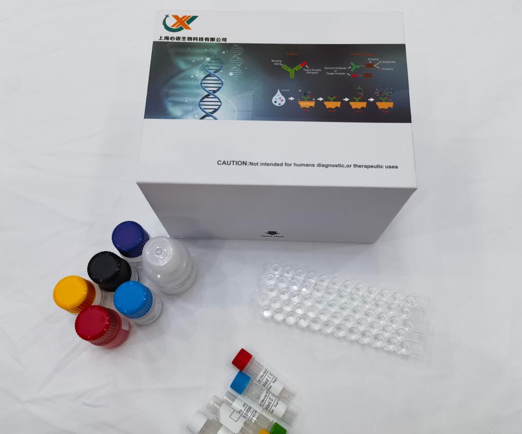 人组蛋白脱乙酰化酶7(HDAC7)ELISA检测试剂盒