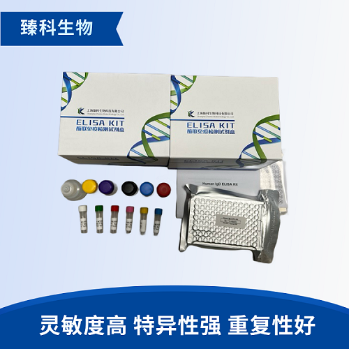 人半乳糖凝集素7(Gal-7）检测试剂盒