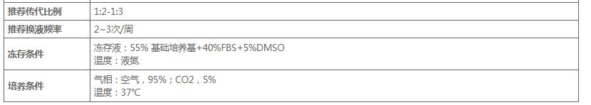 image 2020121104252053662