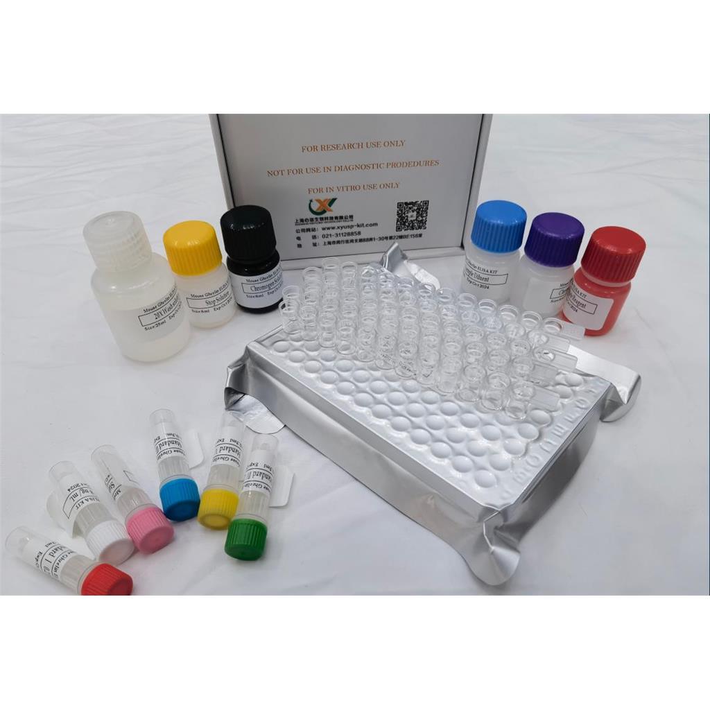 人肌动蛋白束蛋白(FSCN;FSCN1)ELISA检测试剂盒