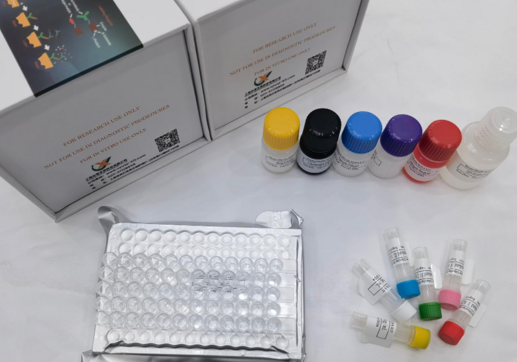 人血小板糖蛋白Ibα链(GP1BA；CD42β)ELISA检测试剂盒