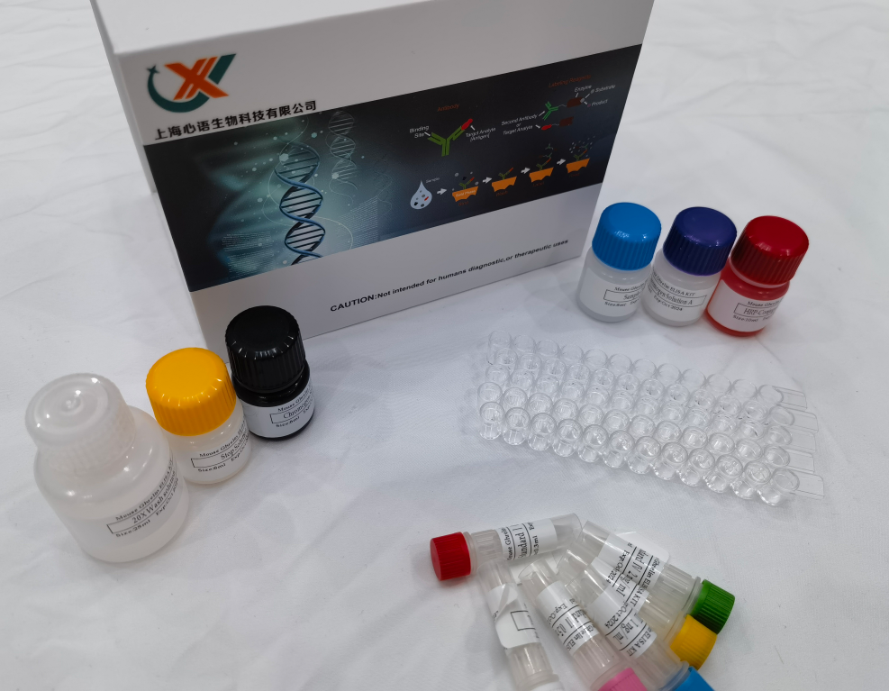 人谷氧还蛋白3(GLRX3)ELISA检测试剂盒
