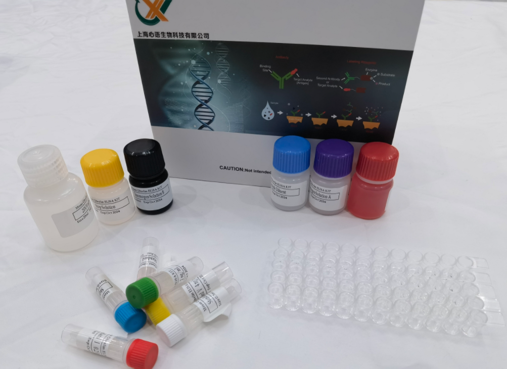 猪转化生长因子β3(TGFβ3)ELISA试剂盒