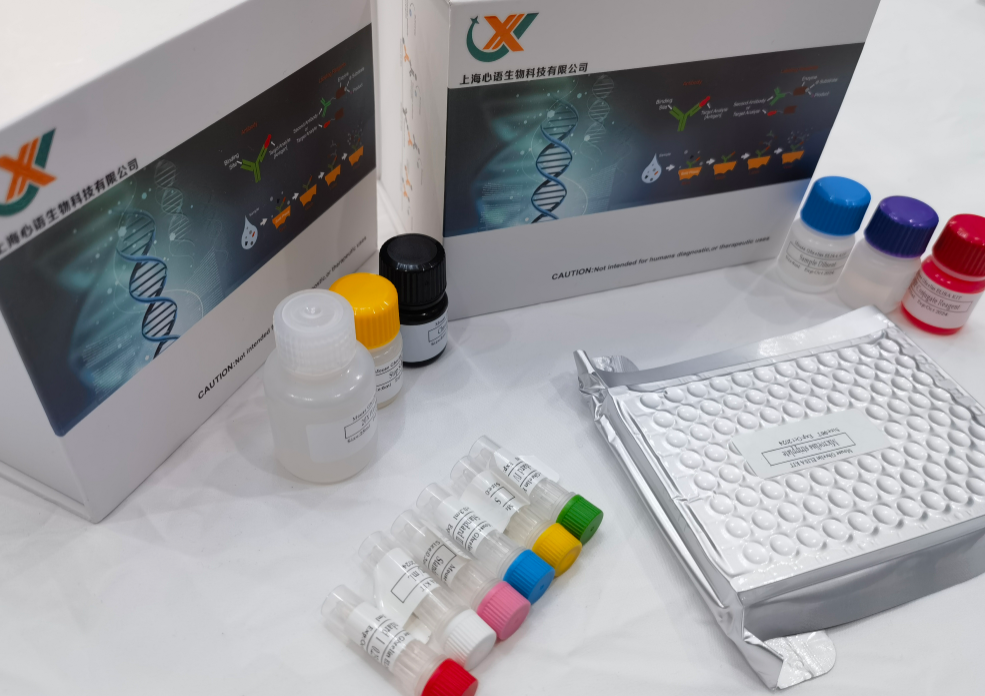 猪8异前列腺素(8-iso-PG)ELISA试剂盒