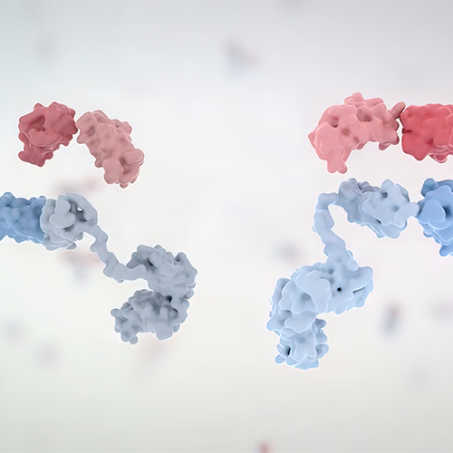 人EGF R蛋白, His, Avitag