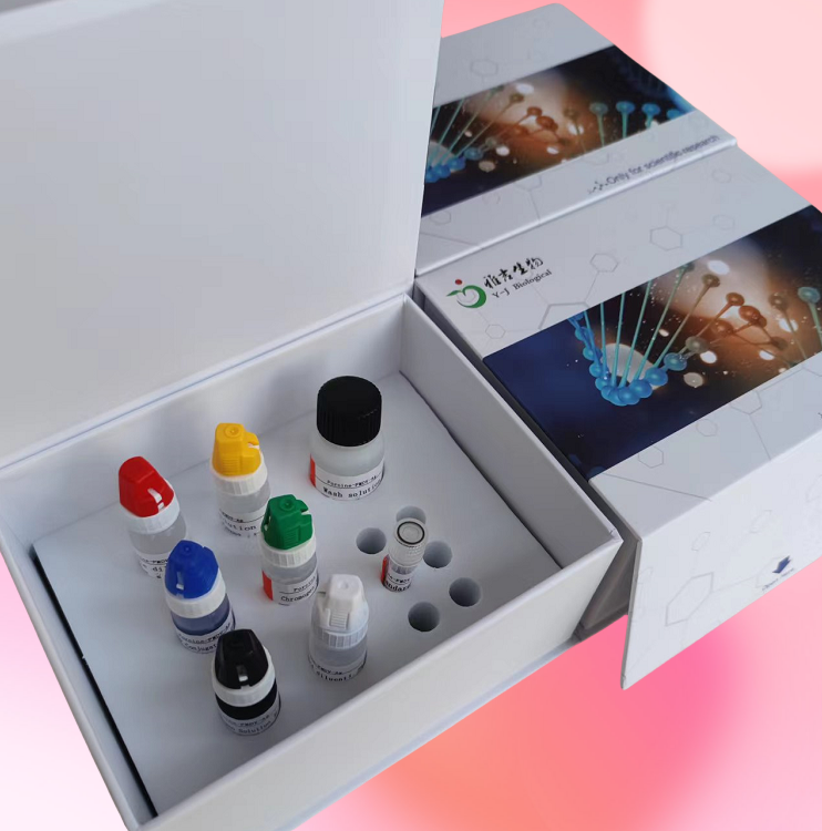 泰泽隐孢子虫探针法荧光定量PCR试剂盒