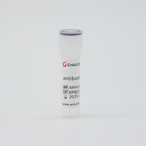 BIOTIN-兔抗小鼠IgG(H+L) | 二抗 | EnkiLife恩玑生命