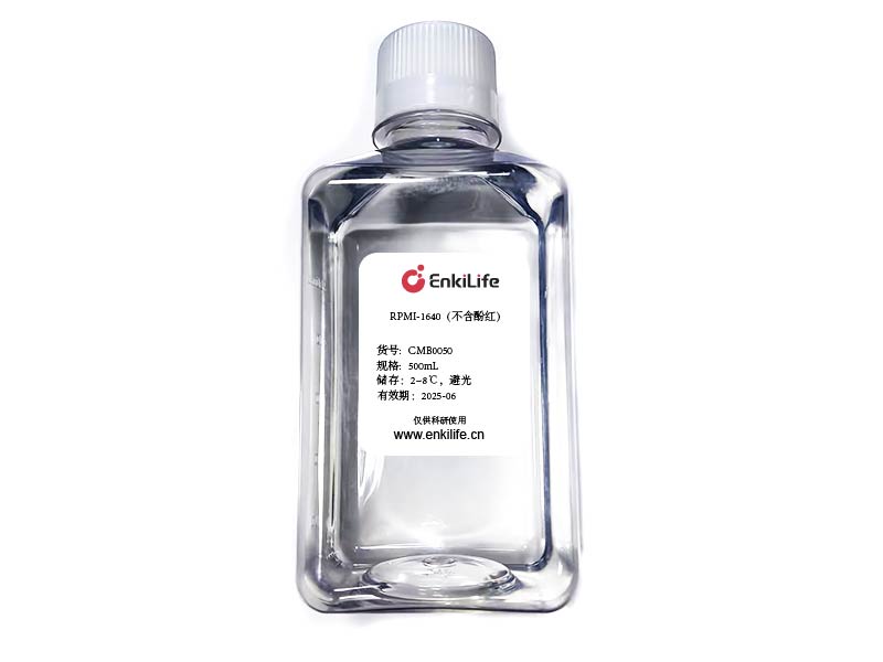 RPMI-1640（不含酚红） | 液体 | EnkiLife恩玑生命