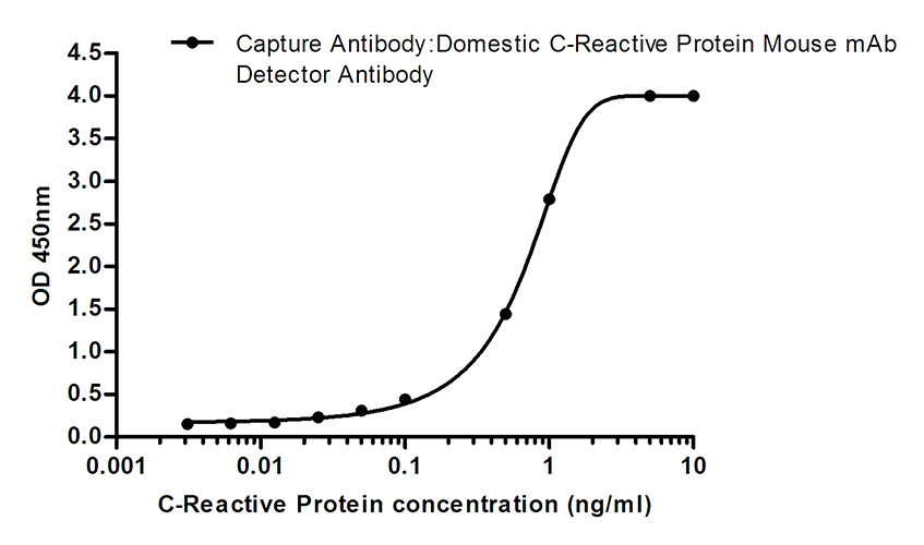 C Reactive Protein (1H3) Mouse Monoclonal Antibody | 鼠单抗 | EnkiLife恩玑生命