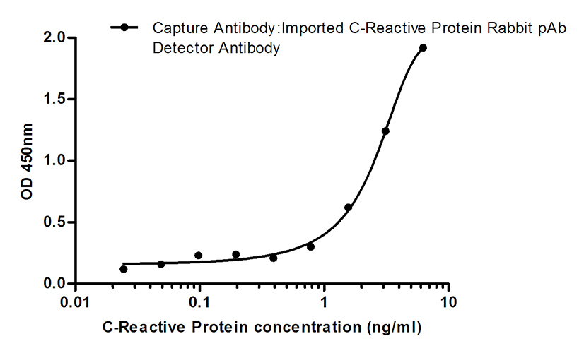 C Reactive Protein (1H3) Mouse Monoclonal Antibody | 鼠单抗 | EnkiLife恩玑生命