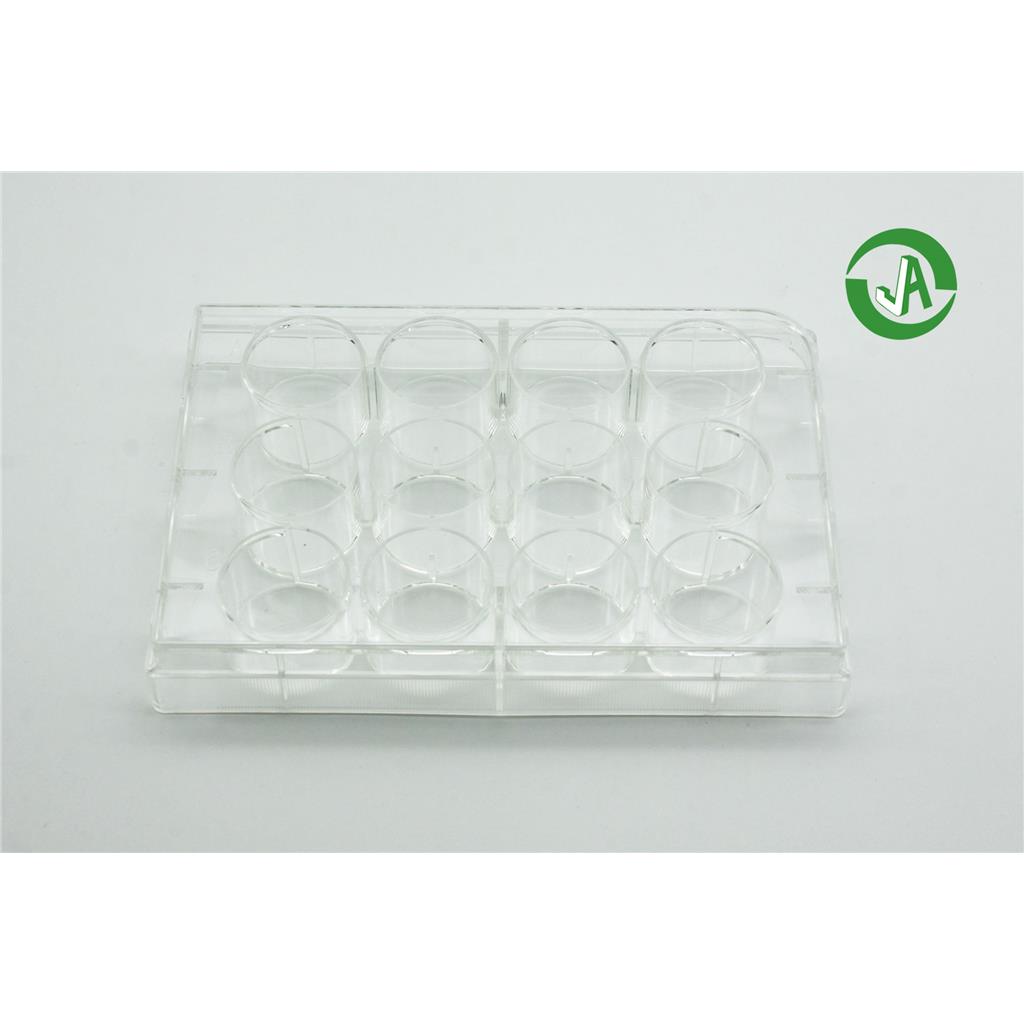 百千生物24孔多聚赖氨酸包被细胞培养板 pdl24孔板