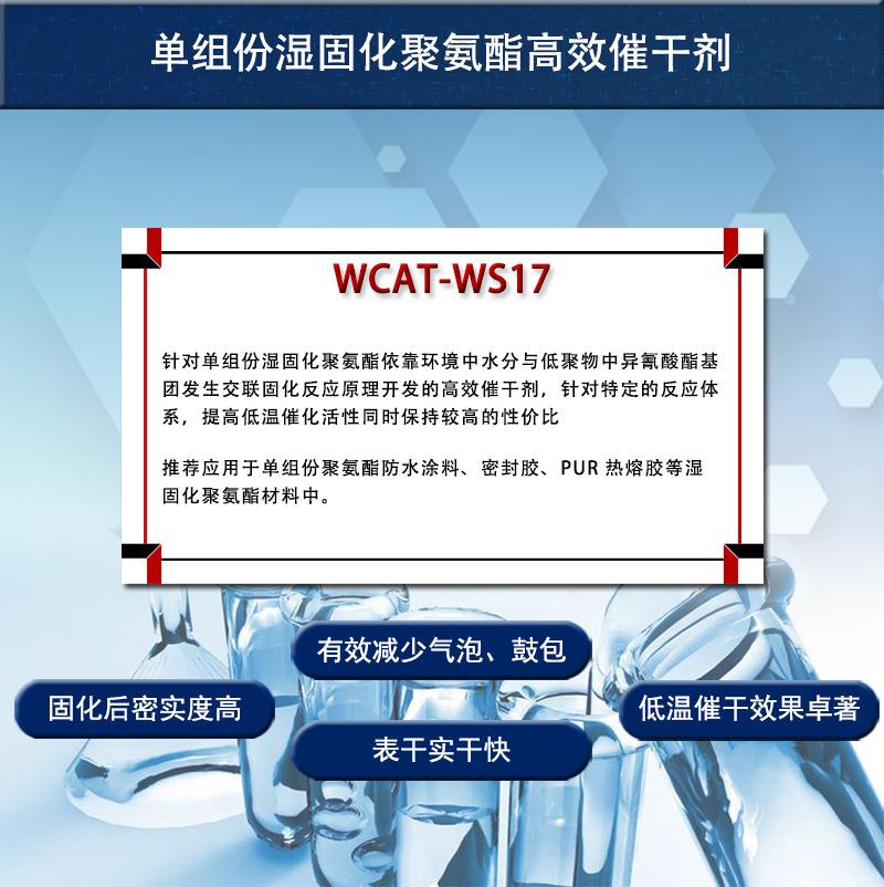 WCAT-WS17详1.jpg