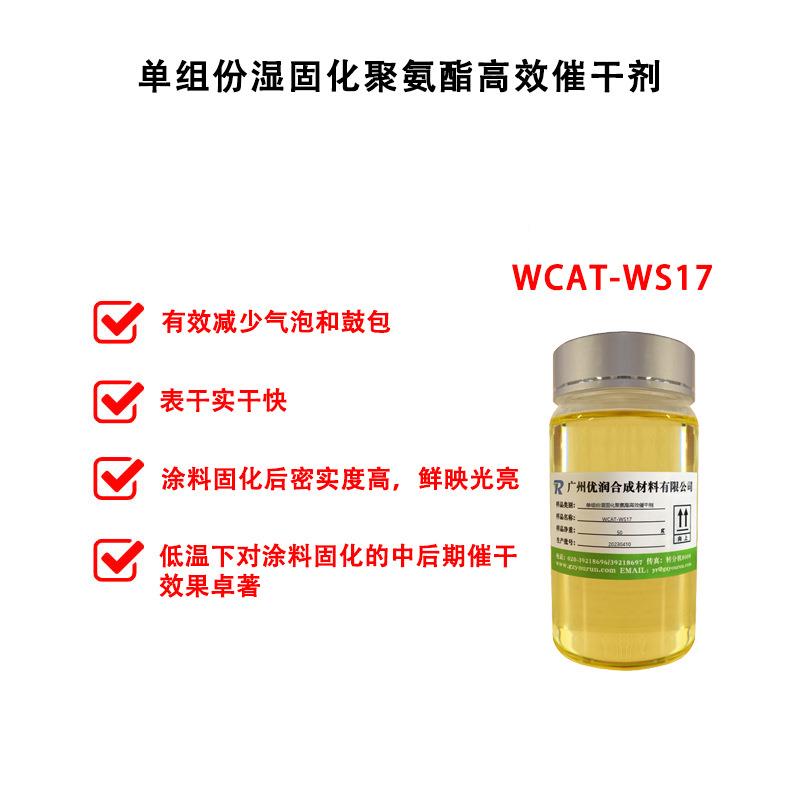 WCAT-WS17详2.jpg