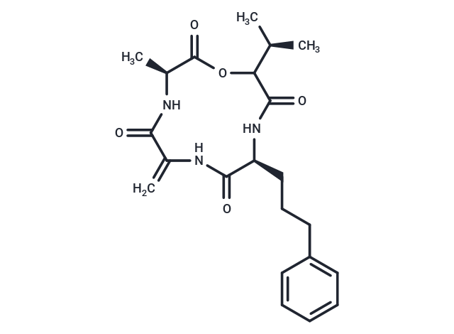 化合物 AM Toxin II|T29926|TargetMol