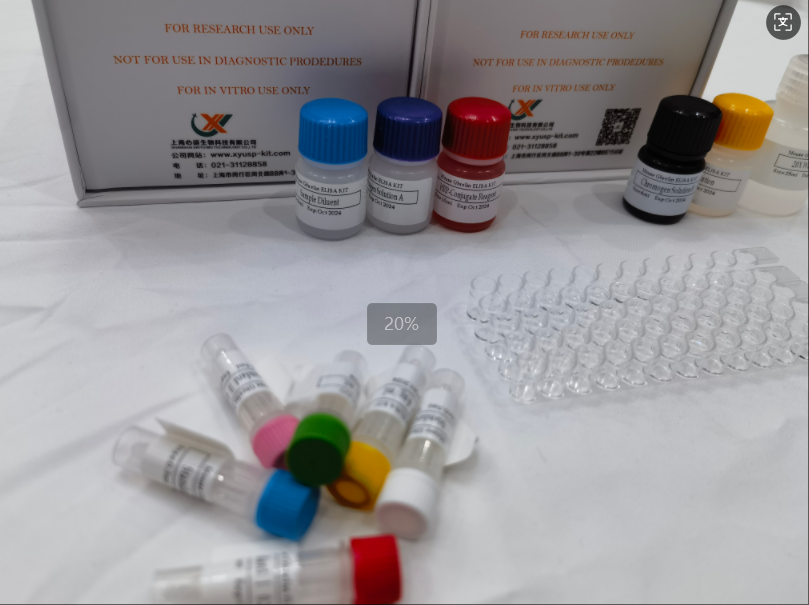 牛口蹄疫病毒（FMDV）ELISA试剂盒