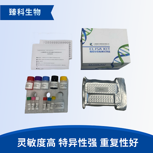 小鼠肌酸激酶同工酶MM(CK-MM）elisa检测试剂盒