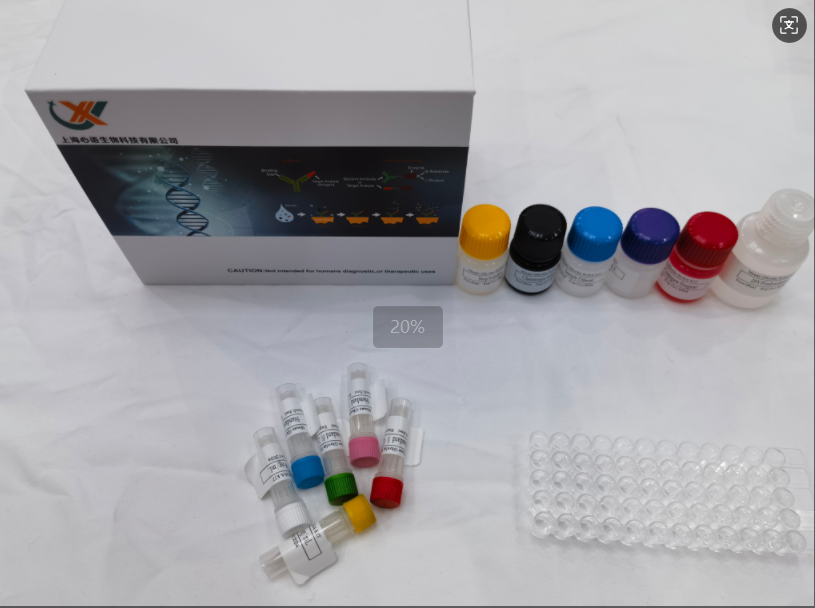 牛传染性鼻气管炎病毒GB抗体（IBR-GB Ab）ELISA试剂盒