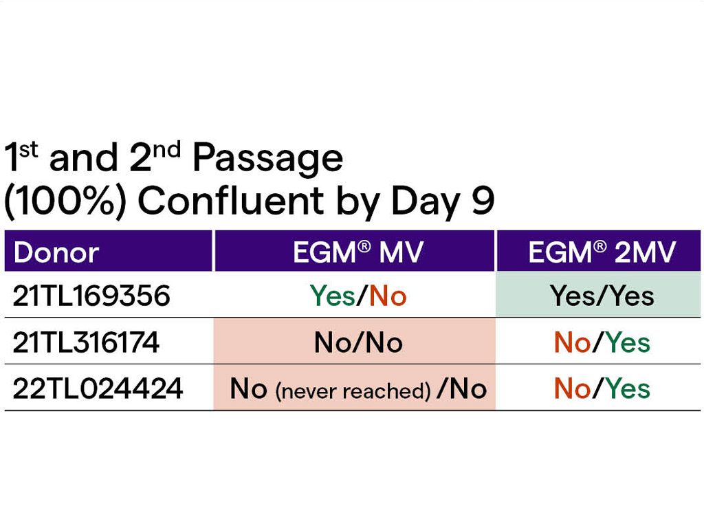 EGM-2-MV 内皮细胞培养基套装（CC-3156 & CC-4147）