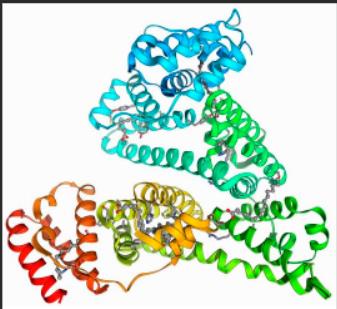 RB-聚乙二醇-酪蛋白， RhodamineB-PEG-Casein
