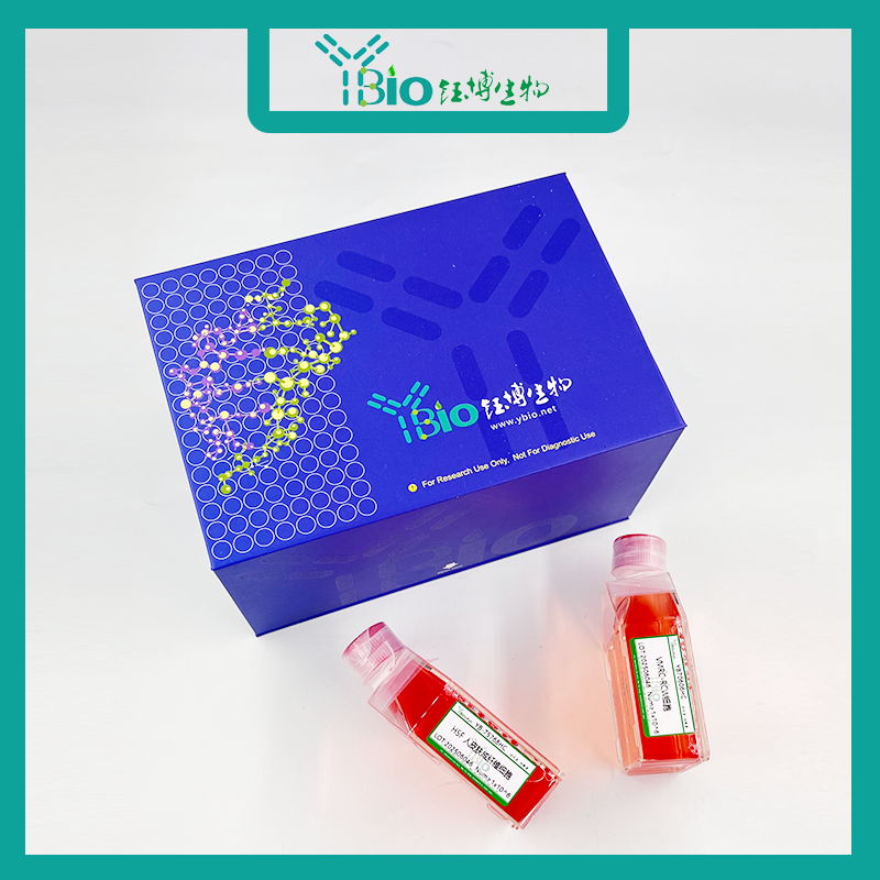 HRMVPCS（永生化人视网膜周细胞）YB-72041HC