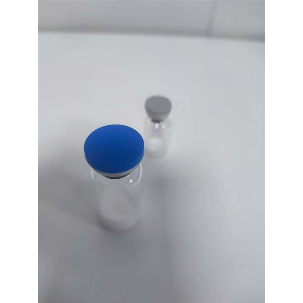 SUMO酶 SUMO enzymes