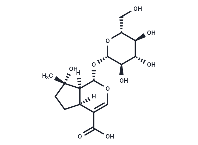化合物 Mussaenosidic acid|T124154|TargetMol