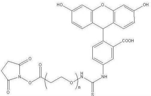 荧光素-聚乙二醇-鸡卵清白蛋白，FITC-PEG-OVA