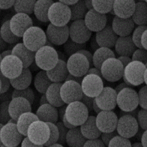 Aminated Ps Microspheres，氨基修饰聚苯乙烯微球