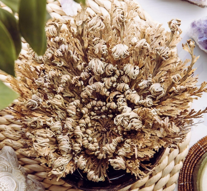 甘油葡糖苷(复活草提取物)高纯2-αGG