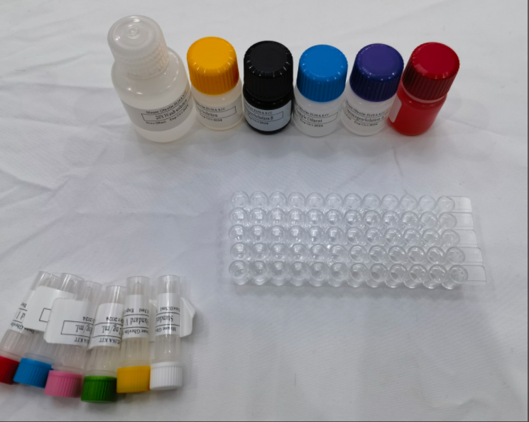 鸡羟赖氨酸吡啶啉(HP)ELISA试剂盒