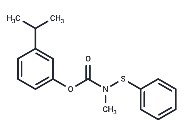 化合物 Carbamic acid, methyl(phenylthio)-, m-isopropylphenyl ester|T30710|TargetMol
