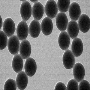 羧基修饰的尼罗蓝ps微球50nm