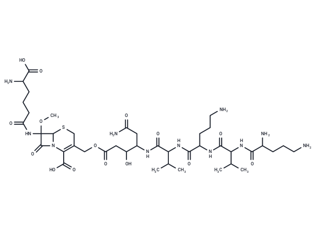 化合物 Cephabacin M4|T25224|TargetMol
