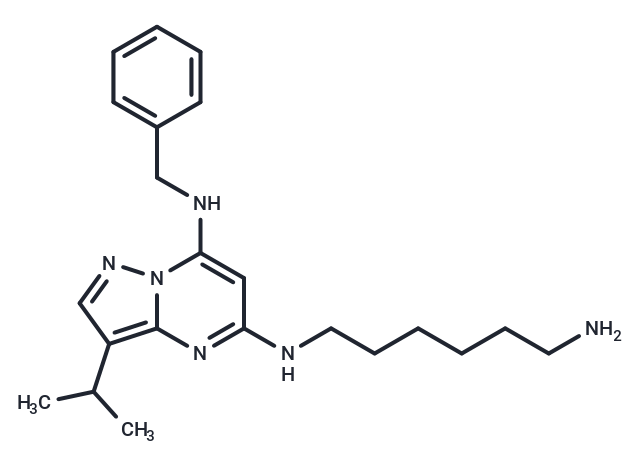 化合物 BS-181|T1947|TargetMol