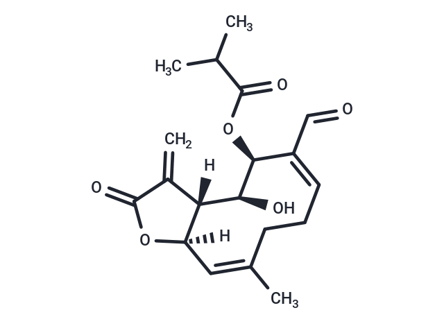 化合物 Acantholide|T26546|TargetMol