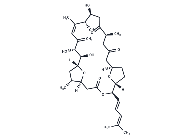 化合物 Amphidinolide F|T30038|TargetMol