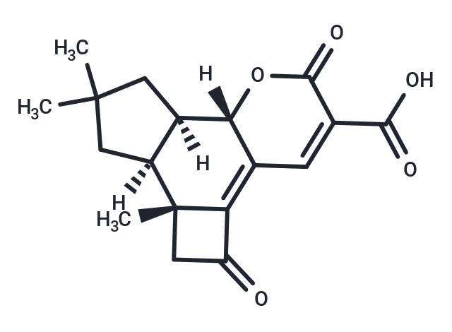 化合物 Lentinellic acid|T25663|TargetMol