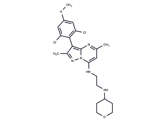 化合物 CP-671906|T31073|TargetMol