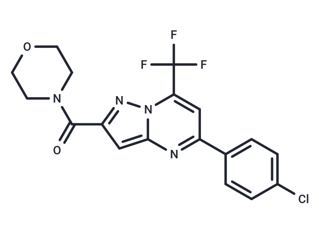 化合物 Acetamide, N-(5-amino-2-(octyloxy)benzyl)-|T29567|TargetMol