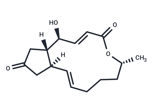 化合物 7-Dehydrobrefeldin A|T124514|TargetMol